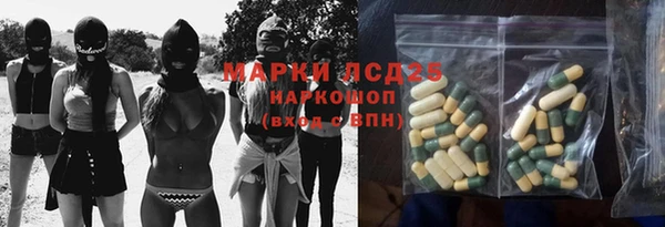 твердый Новозыбков