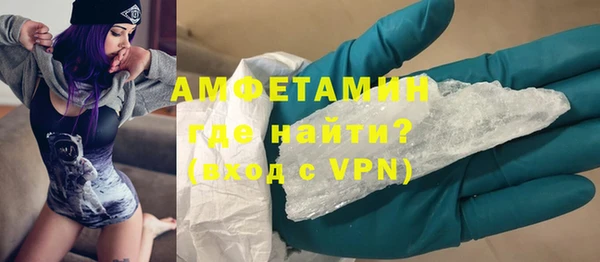 твердый Новозыбков
