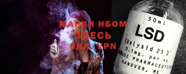 твердый Новозыбков
