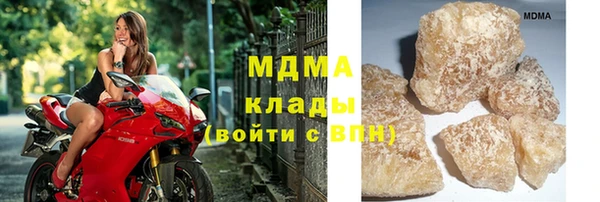 твердый Новозыбков