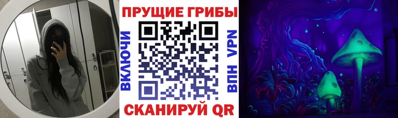 Псилоцибиновые грибы прущие грибы  магазин продажи   Санкт-Петербург 