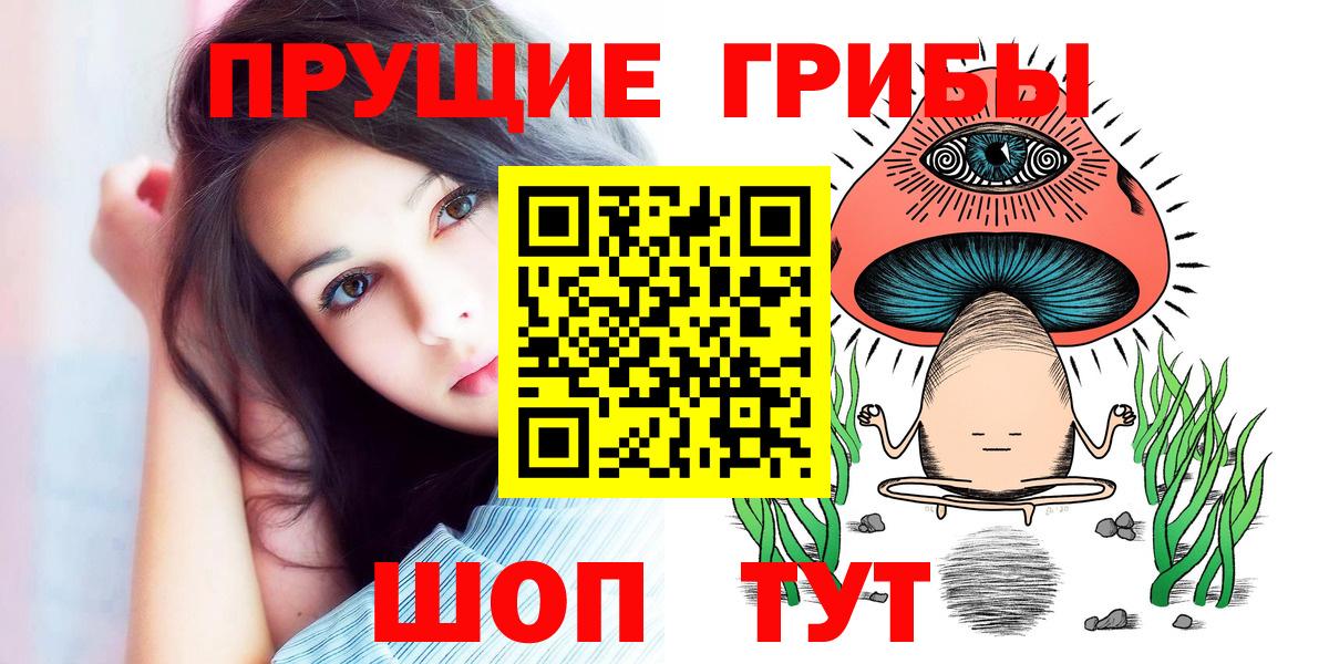 Псилоцибиновые грибы Psilocybine cubensis Санкт-Петербург