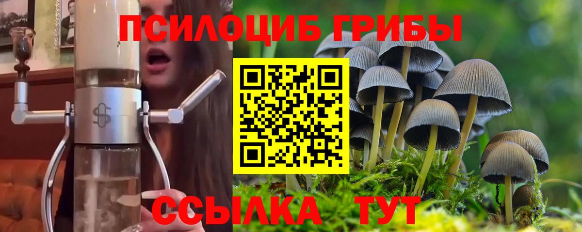 Галлюциногенные грибы Cubensis  Псилоцибиновые грибы мухоморы  Санкт-Петербург  Вход с VPN 